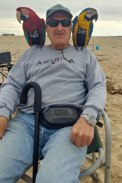 guy on beach with birds