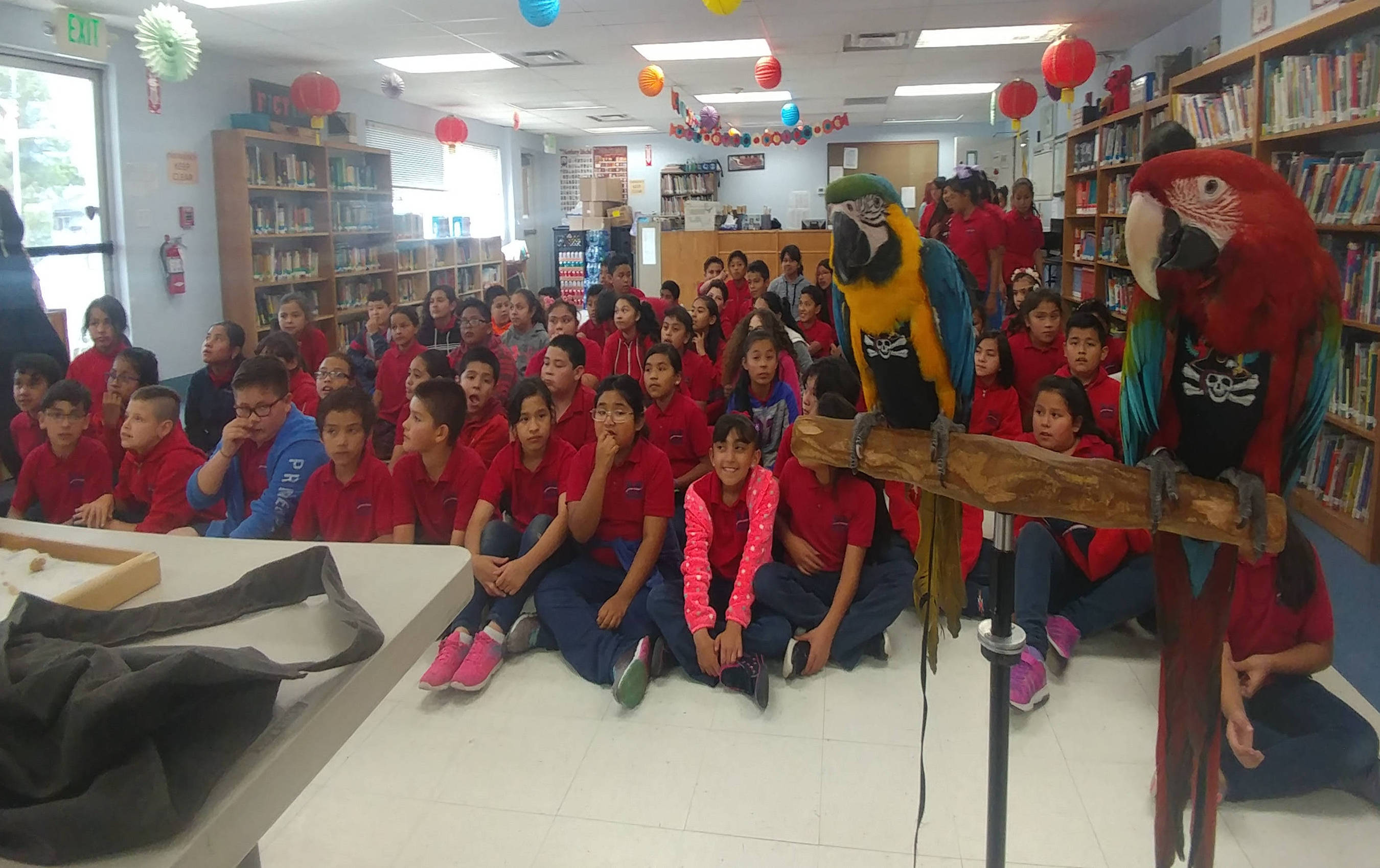school redshirts